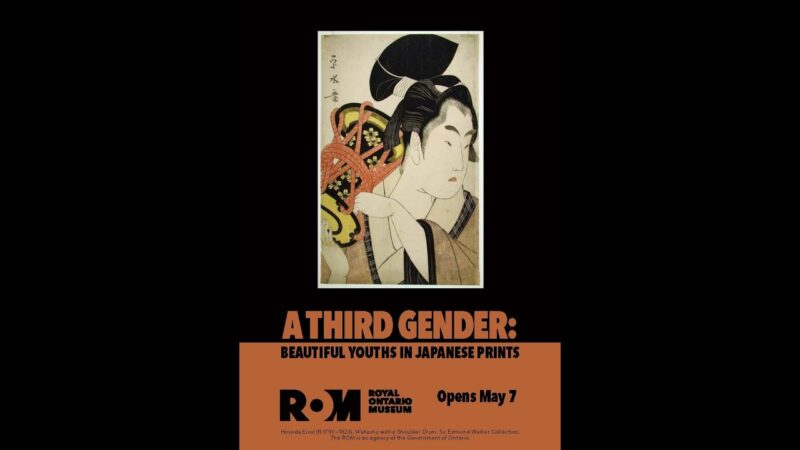 Third Gender Exhibition Poster