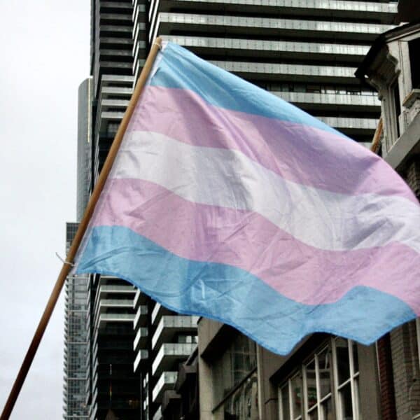 A transgender pride flag at the Toronto Transgender Pride March. Photo by Amelia Smith.