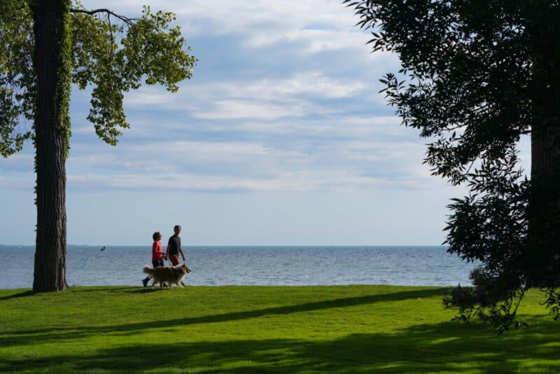 The view of Lake St. Claire from the Ford House grounds. Image courtesy of Ford House. 